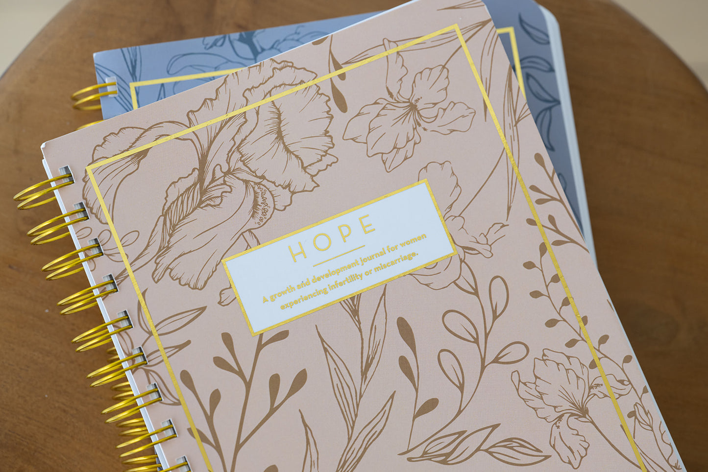 HOPE - A Journal for Infertility or Miscarriage